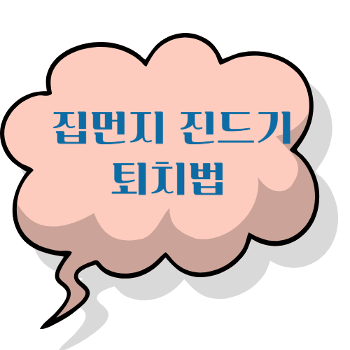 여름철 집먼지진드기 퇴치법, 건강을 지키는 작은 습관