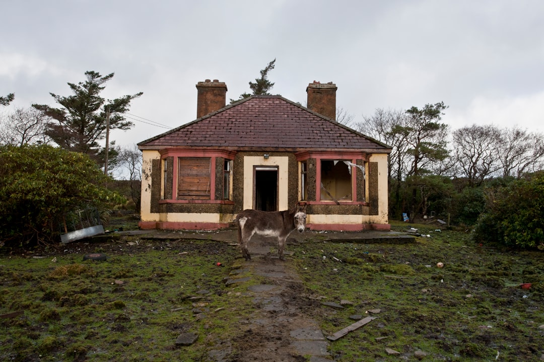 Disaster援助금 (Disaster Relief Fund)