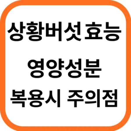 상황버섯 효능과 영양성분 복용시 주의점
