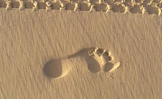 맨발 걷기 부작용