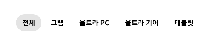 lg노트북그램17인치