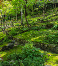 화담숲 프로그램 예약