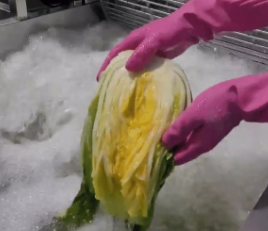 슬기로운 청년농부생활