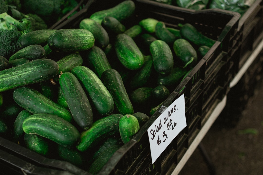 Cucumber