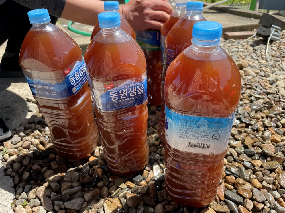 빈-병에-따로-담은-간장-이미지