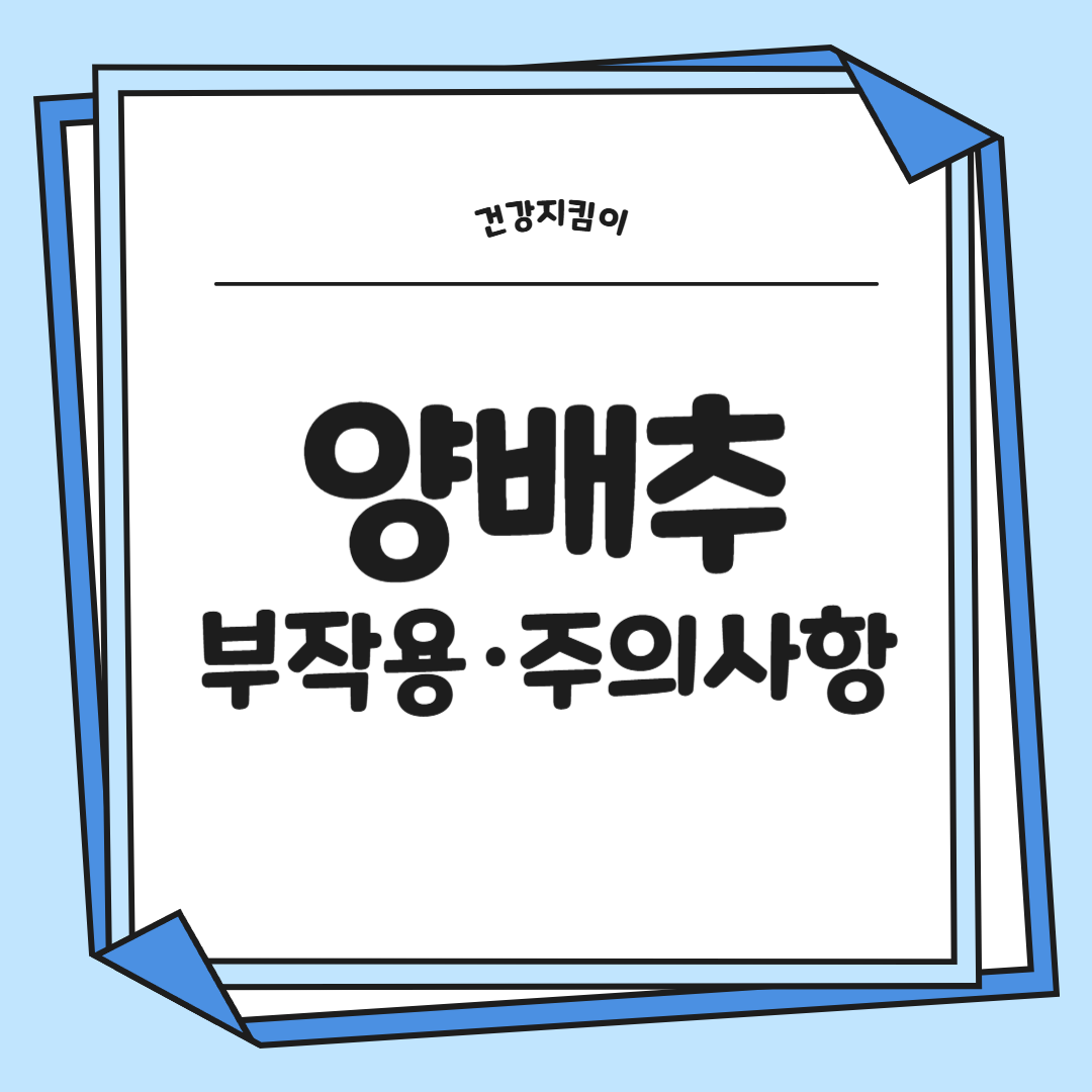 양배추 효능과 부작용 칼로리