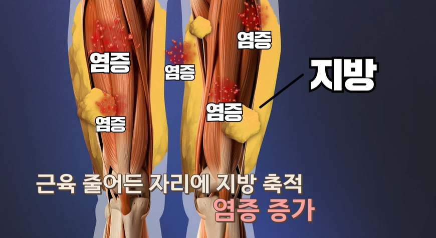 산양유 단백질 효능