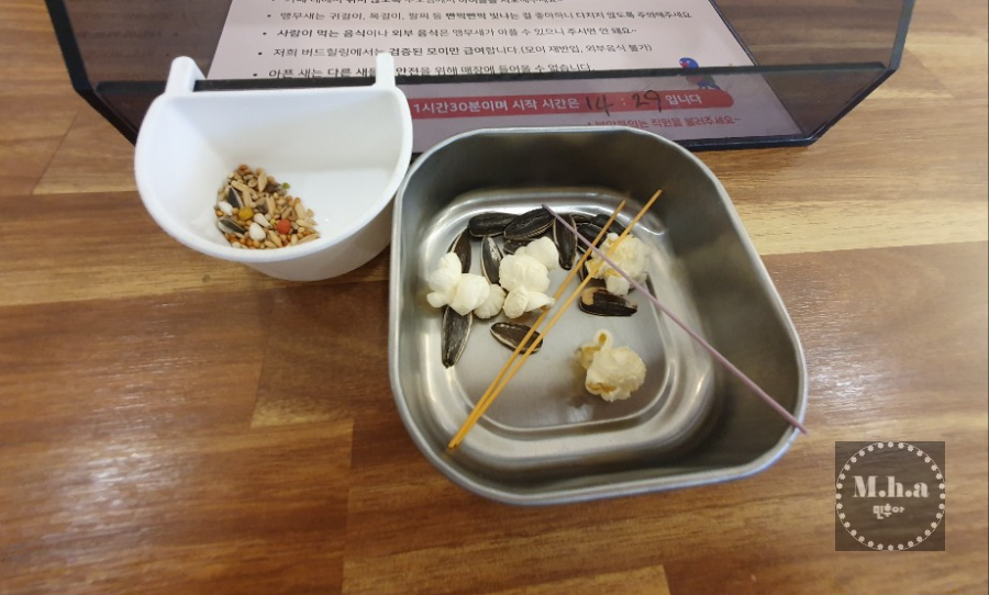 배곧 버드 힐링 카페