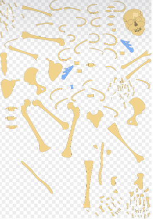 골다공증 관련 사진