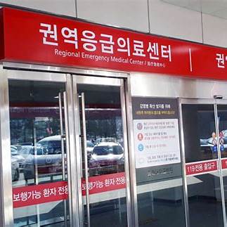 중증외상센터 역할 권역별 조회 진료비 지원