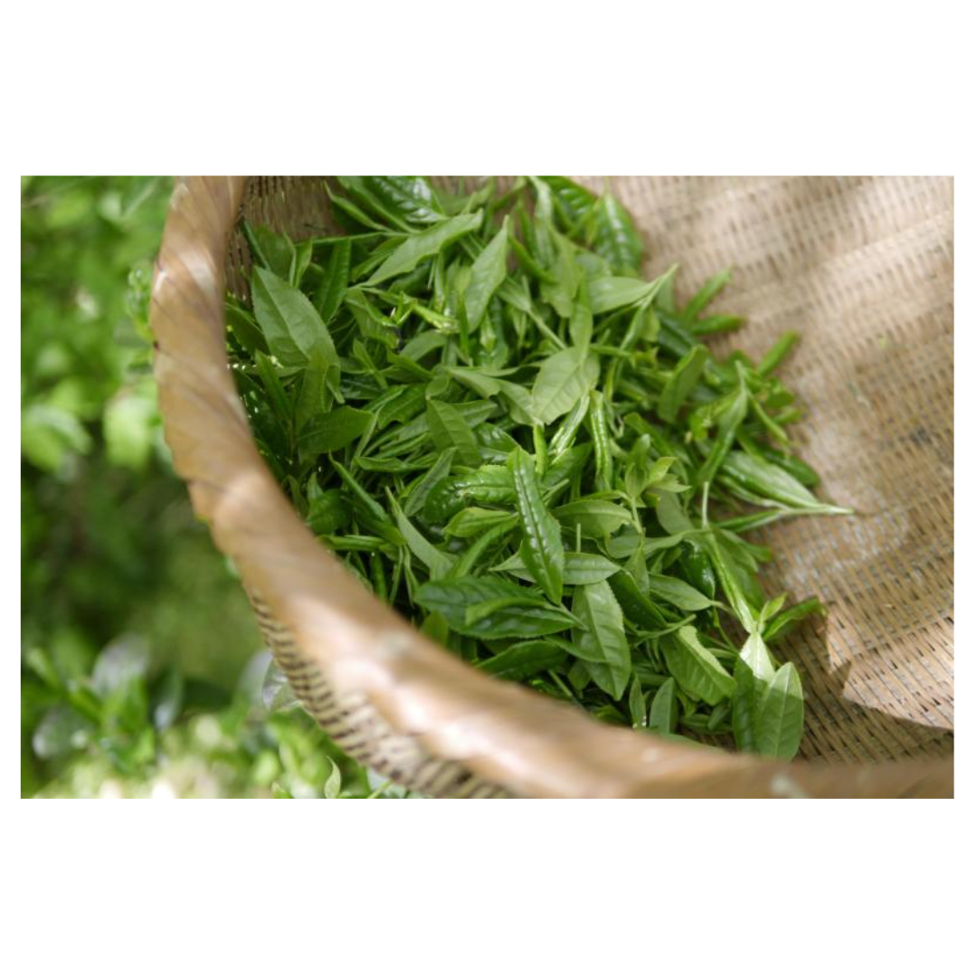 류마티스 관절염과 관련된 사진입니다.