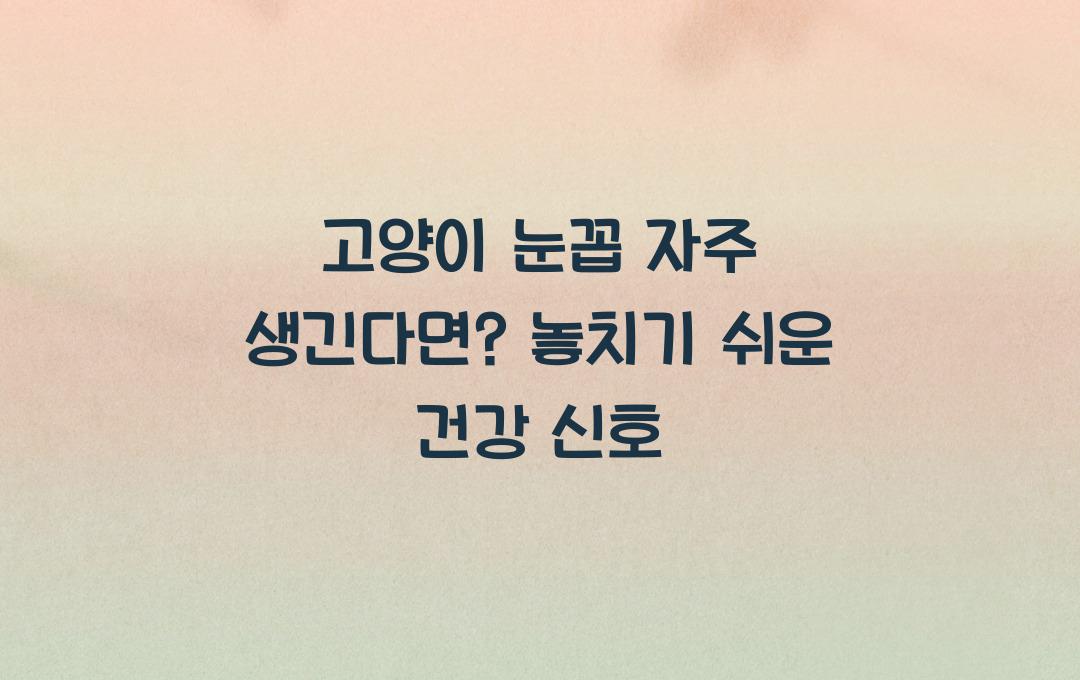 고양이 눈꼽 자주 생긴다면? 건강 신호 체크!