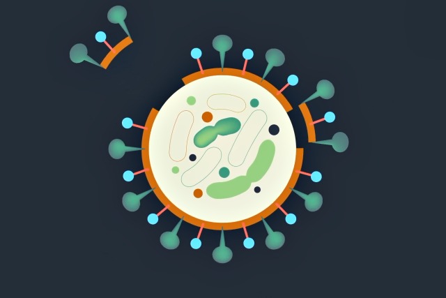 손소독제 코로나 비누,팁줌