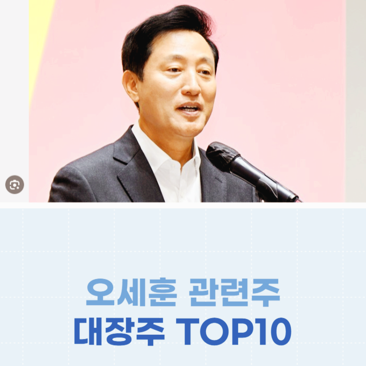 오세훈 관련주 대장주 주식 TOP10