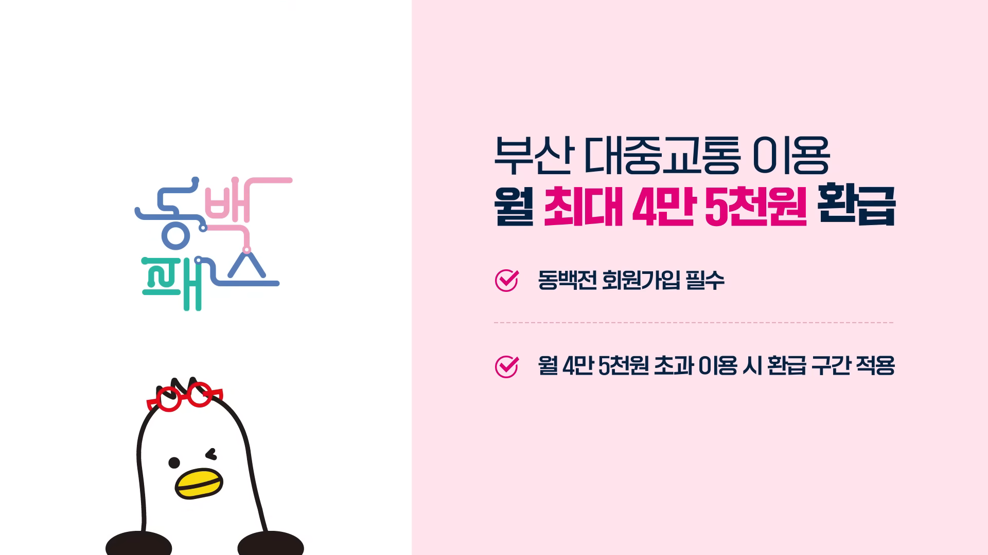 동백패스 K패스 환급 비교