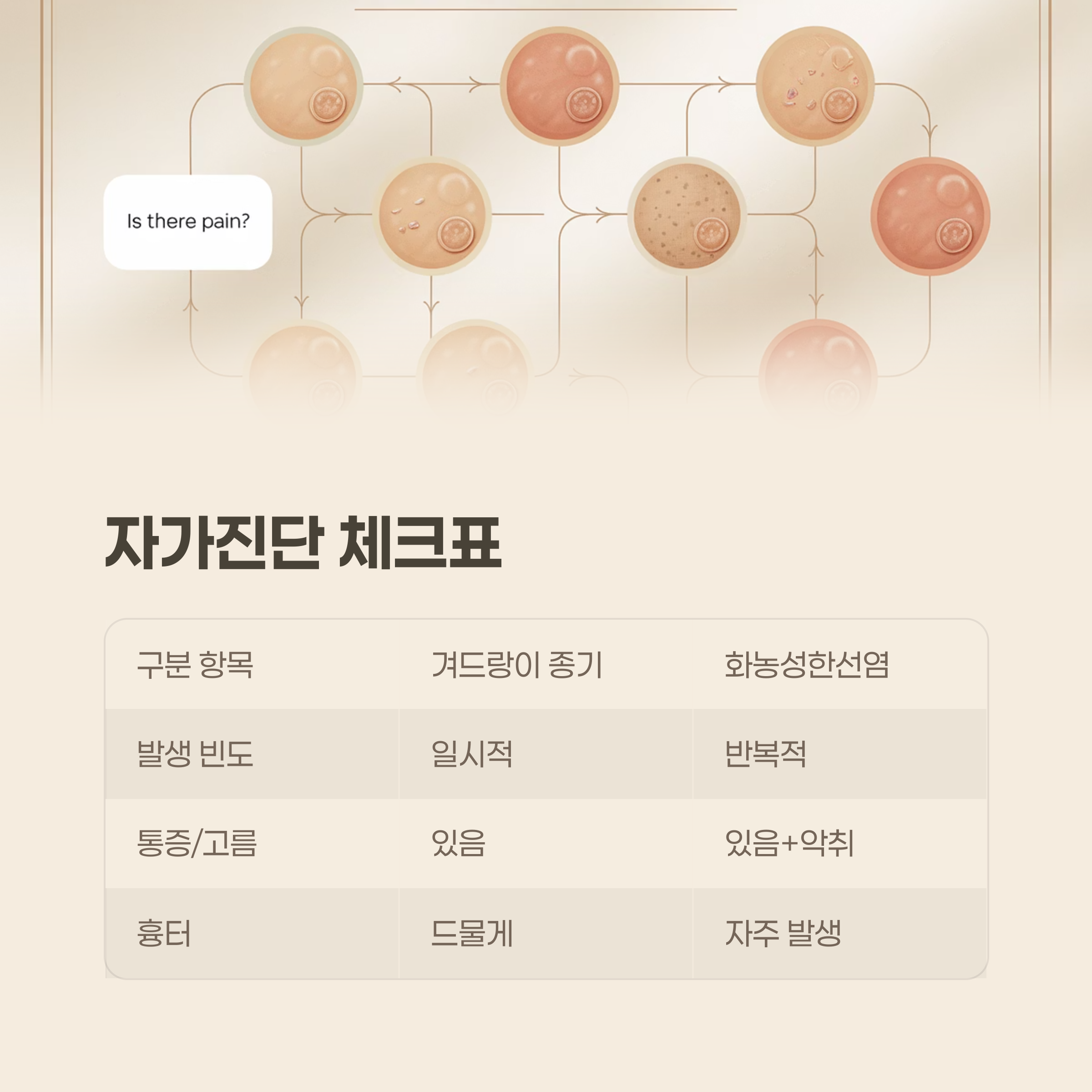 자가진단 체크표로 쉽게 구분