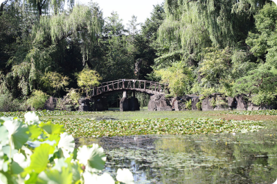 벽초지수목원 가을국화축제사색의공간 이미지/ 출처: 벽초지수목원 홈페이지