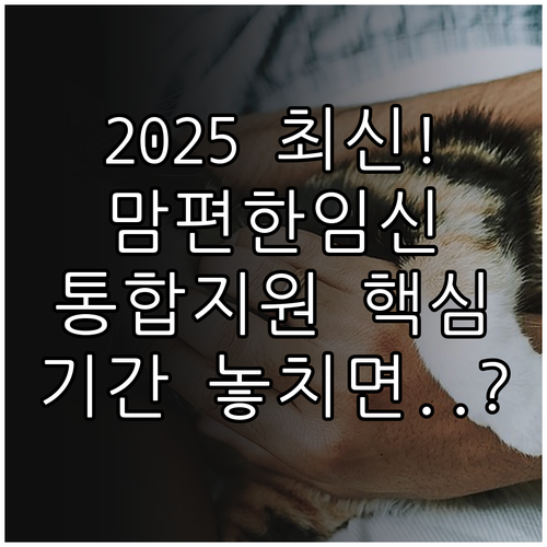 2025 맘편한임신 신청 자격 기간 ..