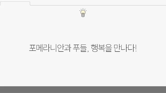 행복한 반려동물 생활, 포메라니안과 갈색푸들로 시작!