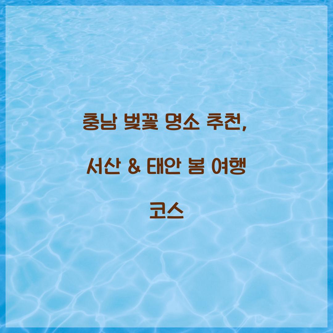 충남 벚꽃 명소 추천