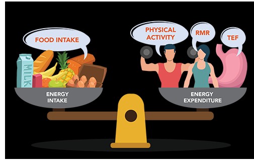 사상체질에 따른 다이어트 전략