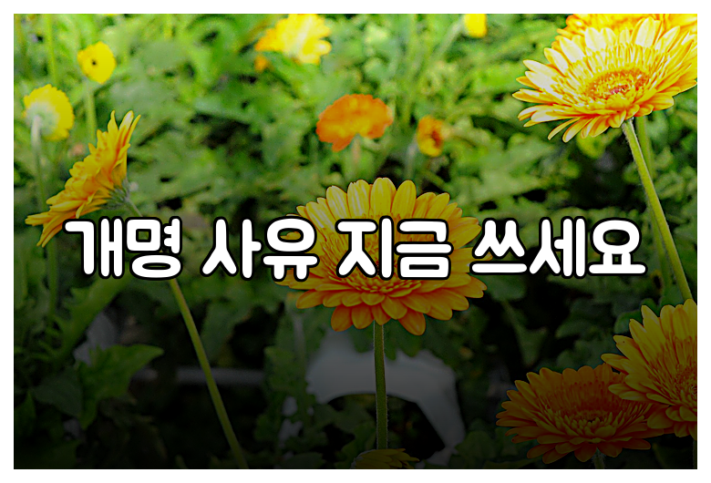 개명 사유 지금 쓰세요