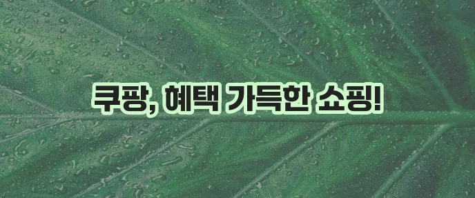 쿠팡 쇼핑몰 바로가기