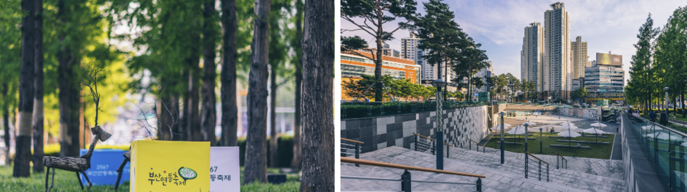 부산 연등회 축제 사진