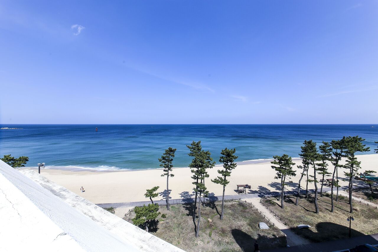 강릉 가족여행 숙소