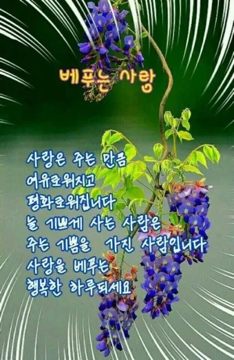 아침인사 이쁜글 다운로드_12