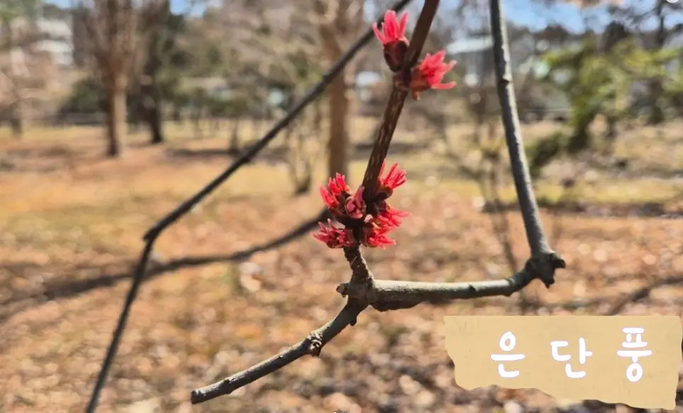 물향기-수목원-입장료-주차-요금-관람시간