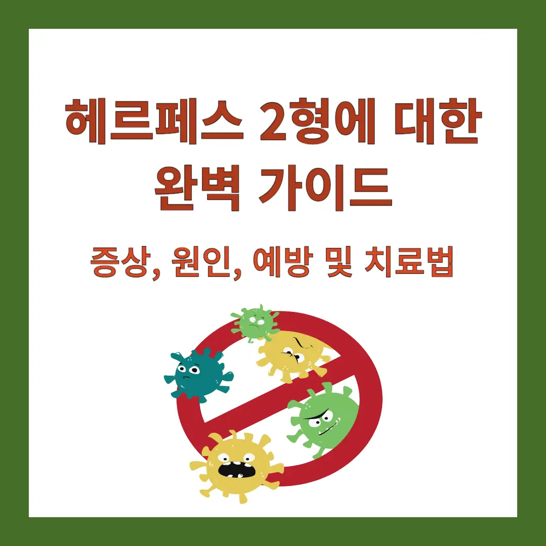 헤르페스-2형-완벽-가이드