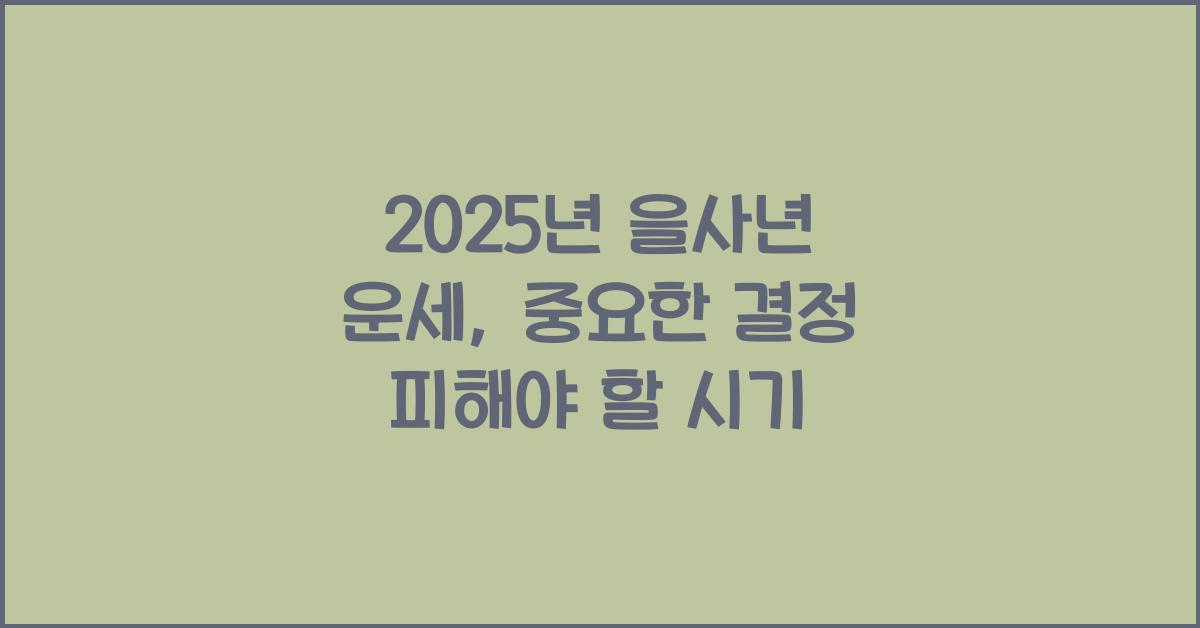 2025년 을사년 운세
