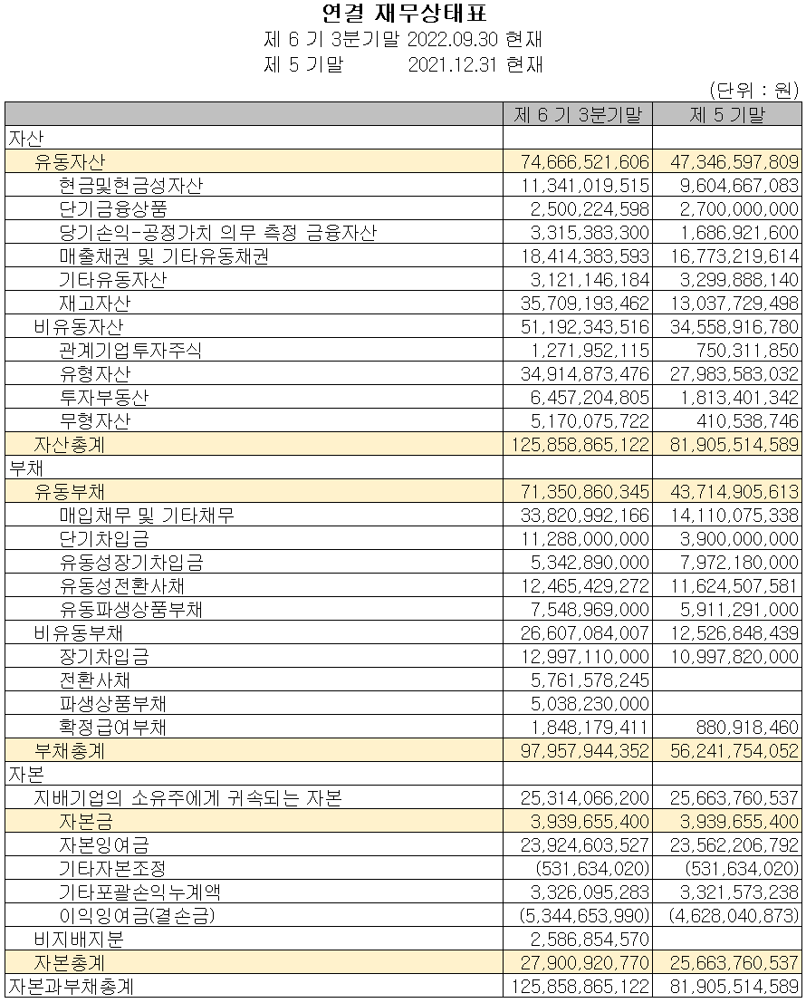 나인테크 - 재무상태표