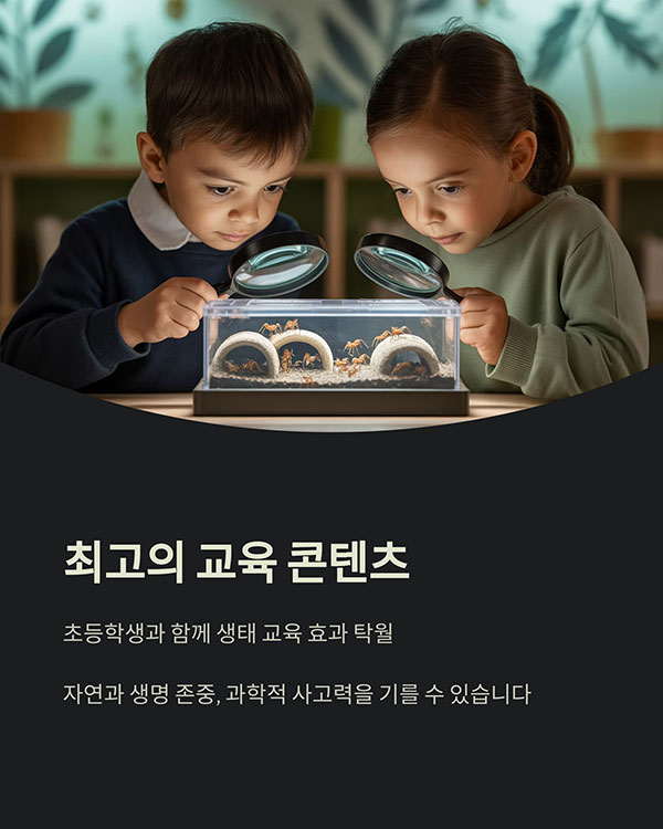 아이와 함께하는 교육 콘텐츠로도 최고