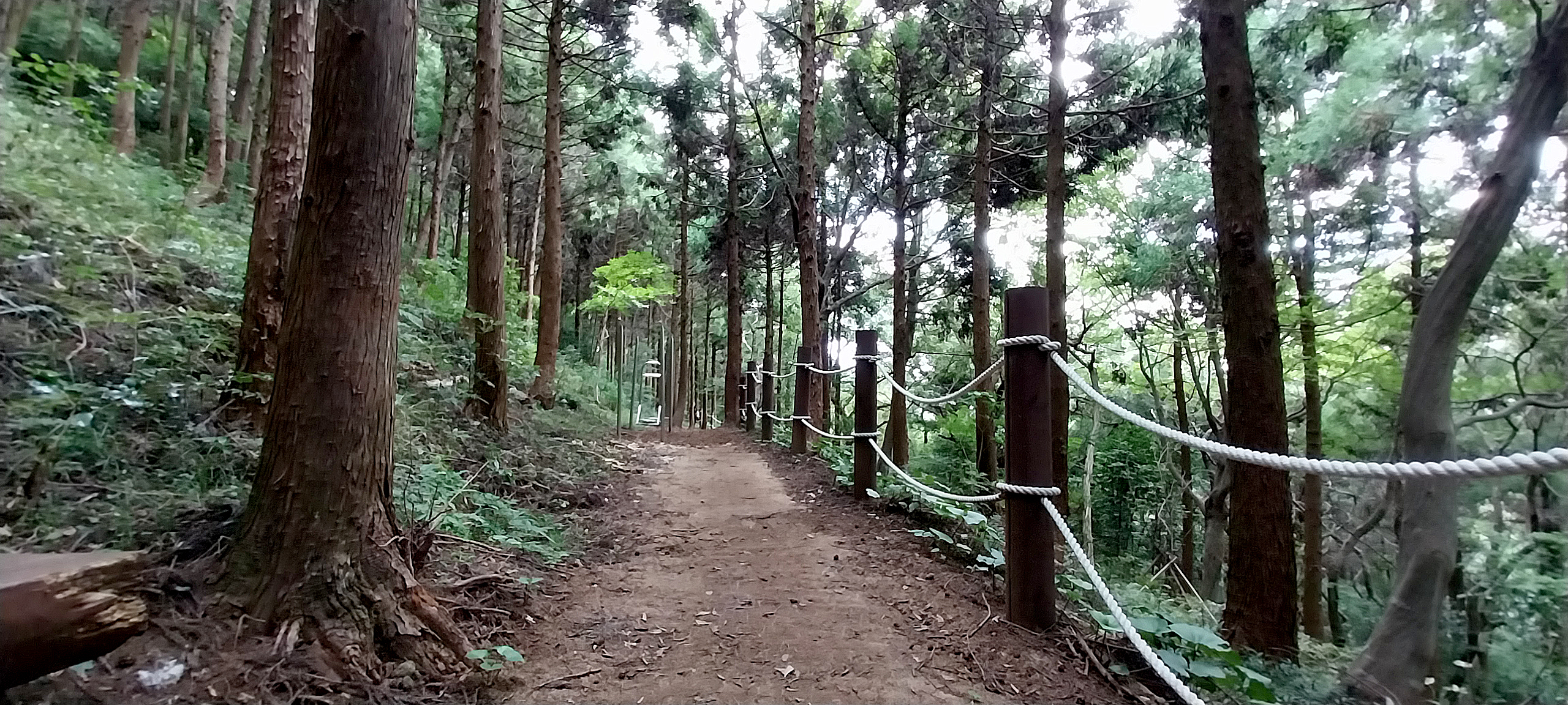 서귀포오름 고근산