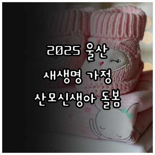 2025 울산 새생명 가정 산모신생아..
