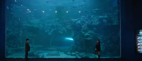 DNA러버 촬영지 아쿠아리움