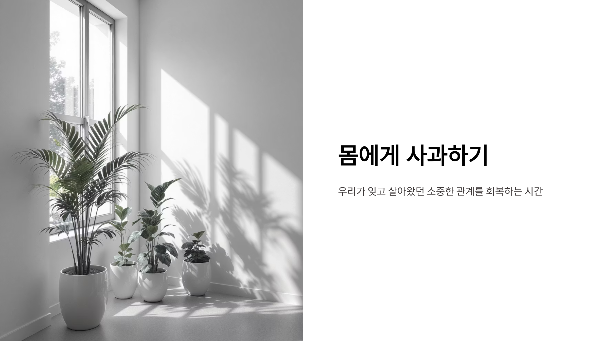 오늘 하루, 내 몸에게 사과하는 법