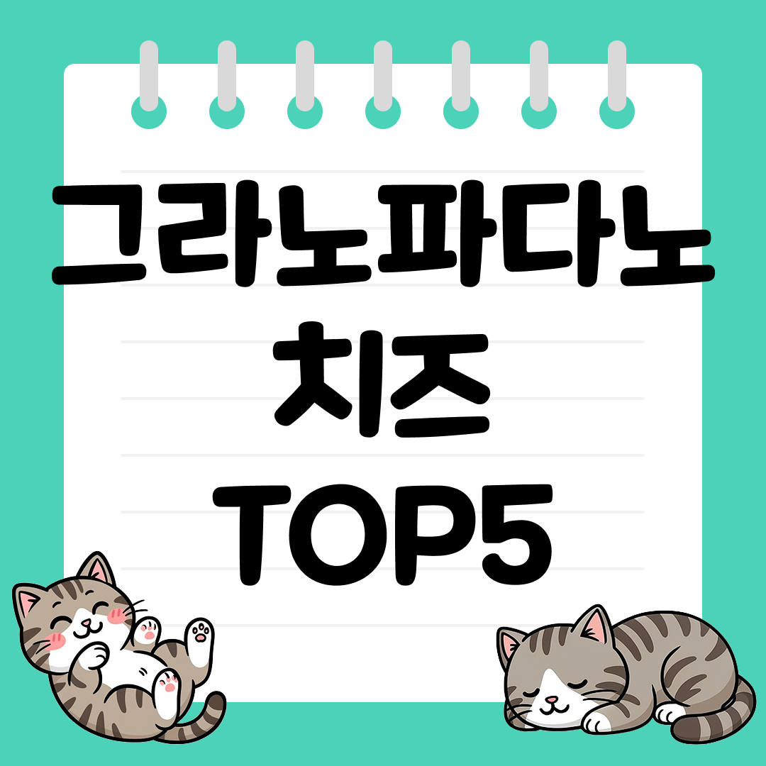 풍미 가득한 요리에 좋은 그라노파다노 치즈 추천 순위 TOP5