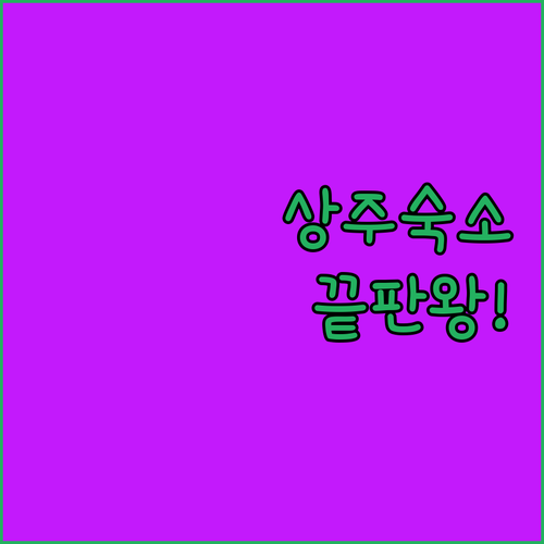 상주 숙소 추천 가성비 엠모텔부터 신..