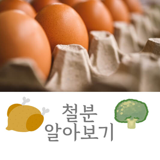 철분