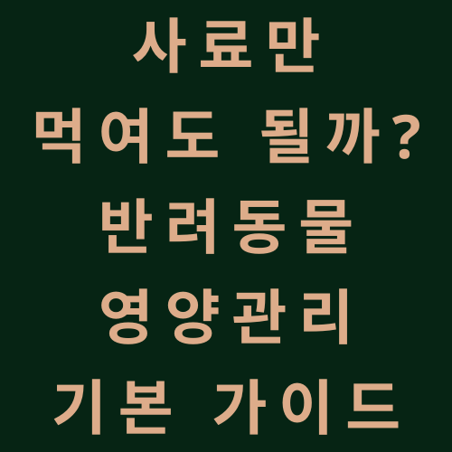 사료만 먹여도 될까? 반려동물 영양관리 기본 가이드