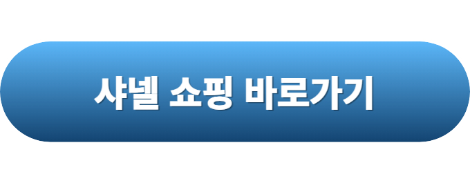 명품가방 브랜드 순위2