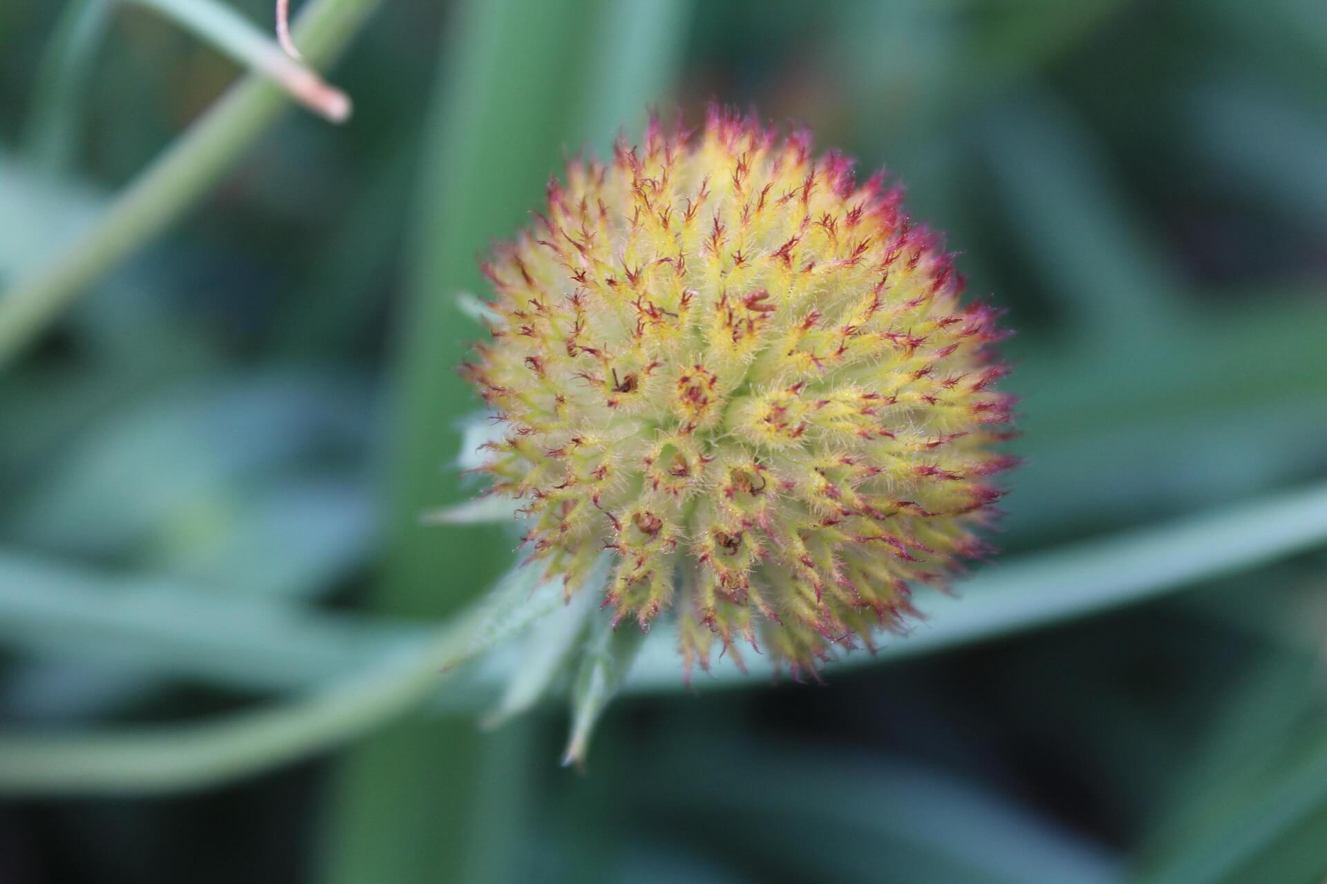 중년 여성의 피로와 무기력&amp;#44; 갱년기 체력 저하의 모든 원인