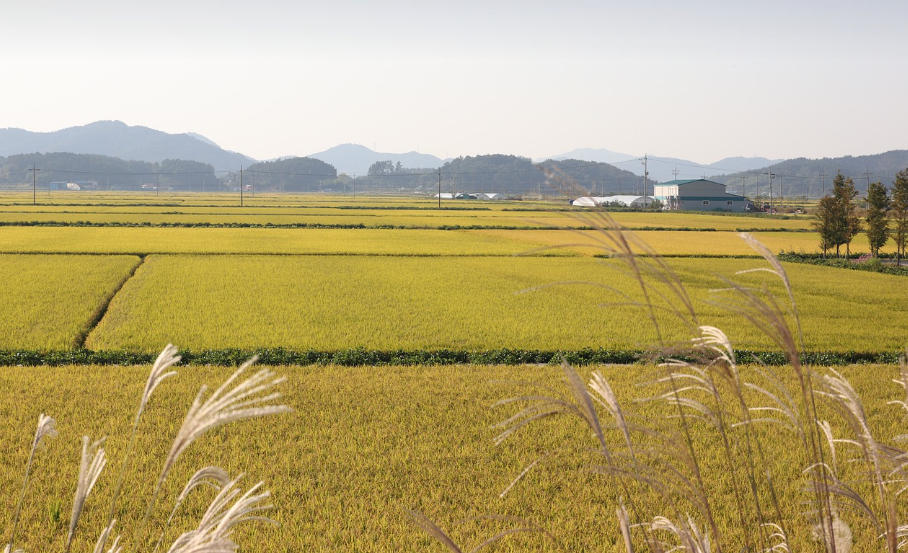 지역별 전통 직업 비교 (남도, 영남, 강원)
