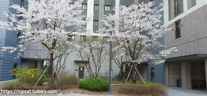 이편한세상동해