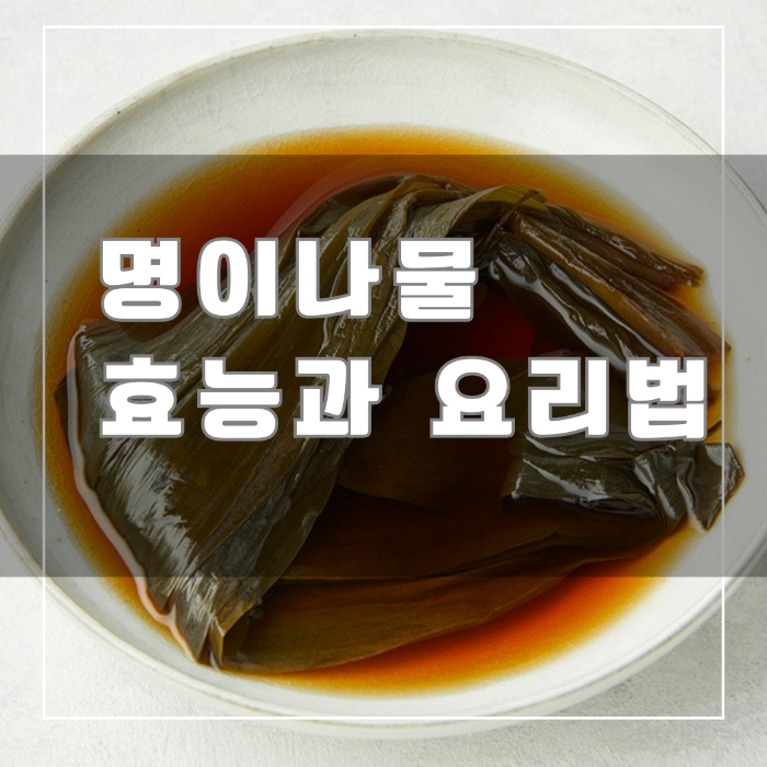 명이나물 효능과 요리법