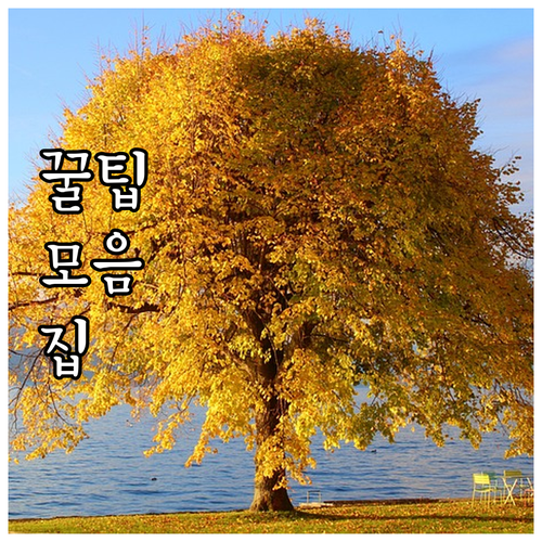 2025년 전북 의사상자 특별위로금 ..