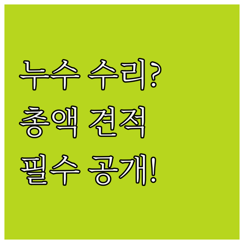 보일러 누수 수리 총액 견적서 요구하..